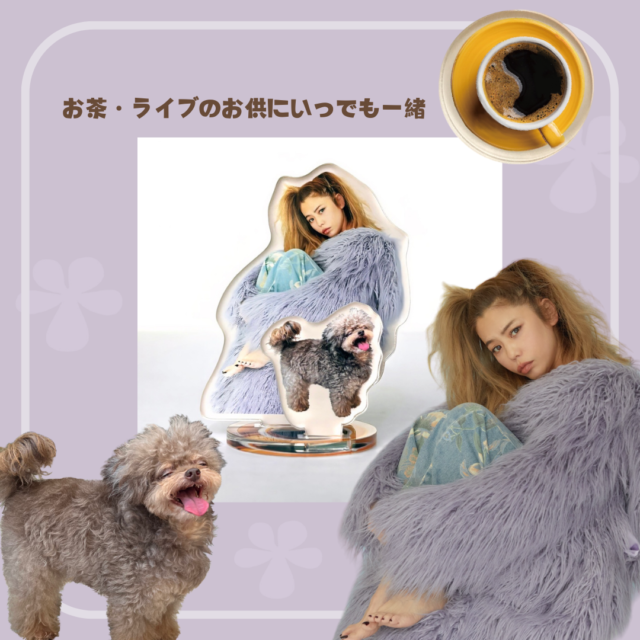 Chara Debut 33rd Anniversary】新グッズ、チャラモバ9/21(土)・一般9